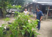 Lumbung Hidup Keluarga: Polsek Kuripan Motivasi Warga Manfaatkan Pekarangan