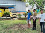 Sinergi Polri dan Petani: Bhabinkamtibmas Lombok Barat Jamin Produksi Jagung