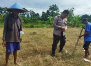 Sinergi Polri dan Warga: Ubah Pekarangan Rumah Jadi Sumber Pangan Keluarga