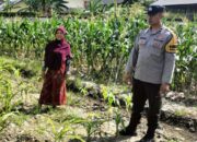 Perkuat Pangan, Polsek Labuapi Ajak Warga Manfaatkan Pekarangan