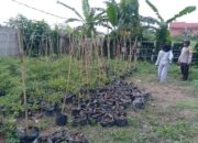 Dukung Ketahanan Pangan, Polsek Batulayar Gagas Kebun Sayur Warga