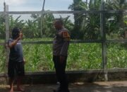 Polsek Labuapi Gencarkan Edukasi Pangan Keluarga di Lombok Barat