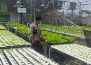 Polri Dorong Ketahanan Pangan, Bhabin Labuapi Edukasi Warga