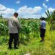 Jaminan Harga Stabil, Polsek Labuapi Dorong Petani Jual Hasil Panen ke Bulog