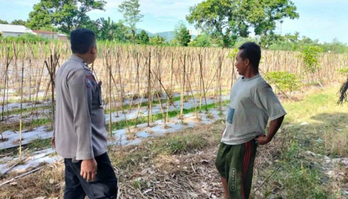 Ketahanan Pangan: Bhabinkamtibmas Labuapi Edukasi Pemanfaatan Pekarangan Rumah
