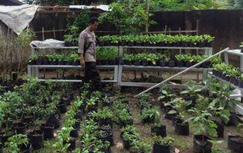 Bhabinkamtibmas Labuapi Ajak Warga Manfaatkan Lahan